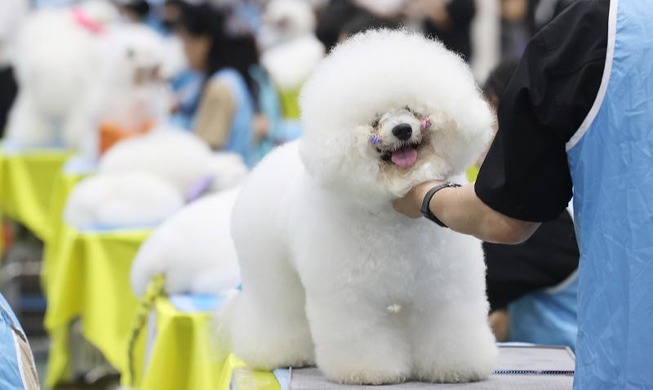 Concurso Nacional de Peluquería Canina