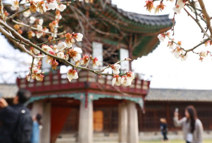 Primavera en Changdeokgung