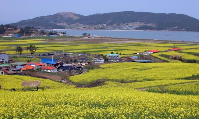 Corea reembolsará el 50 por ciento de los gastos de viaje en 9 zonas rurales
