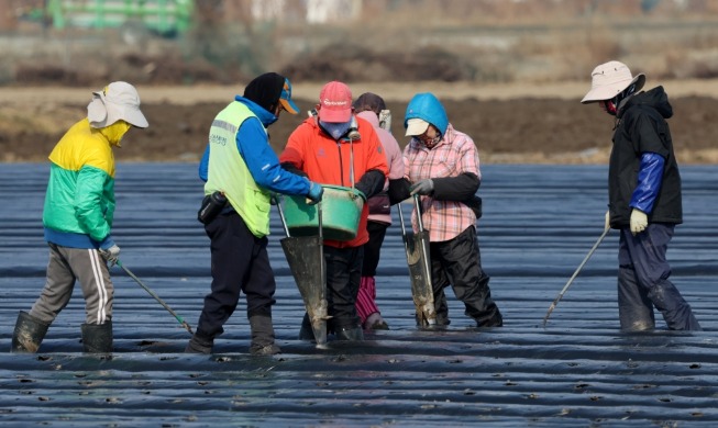 Corea amplía al 50 por ciento la contratación de trabajadores extranjeros cualificados en el sector agropesquero