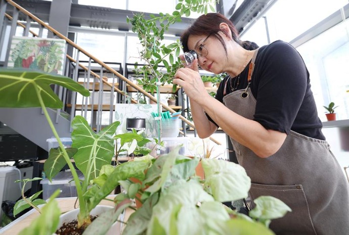 Clínica para plantas