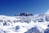 Disfrute de bellas vistas en el festival de invierno de la montaña Hallasan