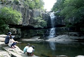 Cascadas, un lugar para refugiarse del calor de verano