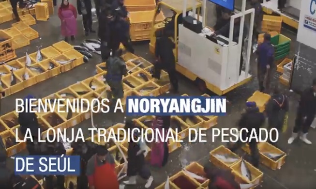 Noryangjin, el mercado tradicional de pescado