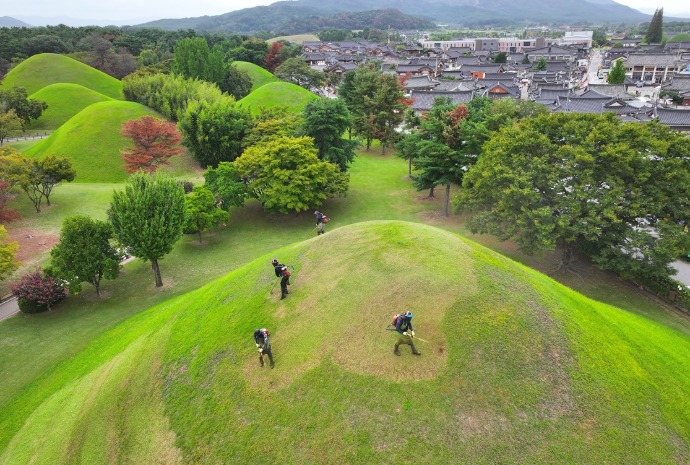 Gyeongju embellece sus túmulos reales antes del Chuseok