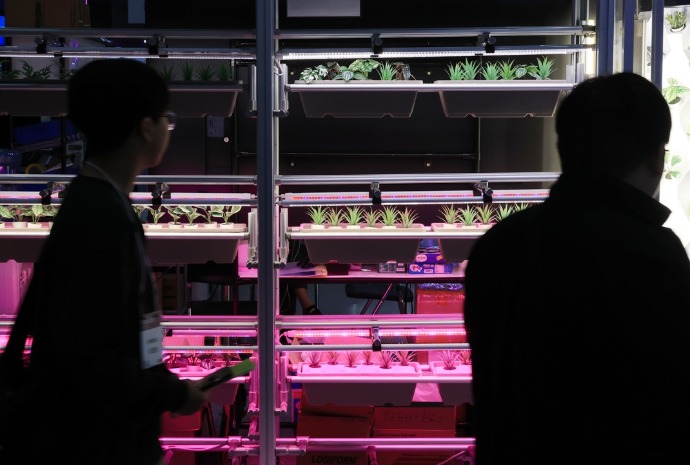 Sistema automatizado para el cultivo de plantas