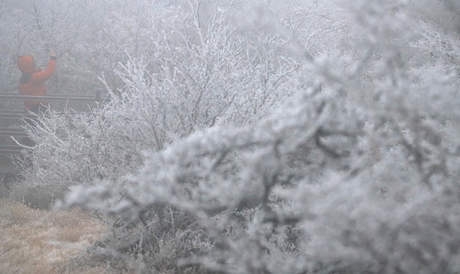 La primera nevada cae sobre el monte Hallasan en la isla de Jeju