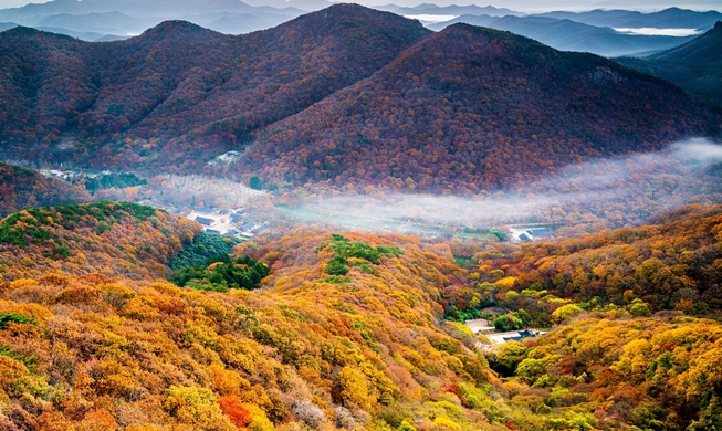 Visite estos cinco lugares para disfrutar del colorido follaje otoñal en Corea