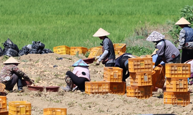 El Gobierno refuerza las medidas contra la violación de DD. HH. de los trabajadores extranjeros