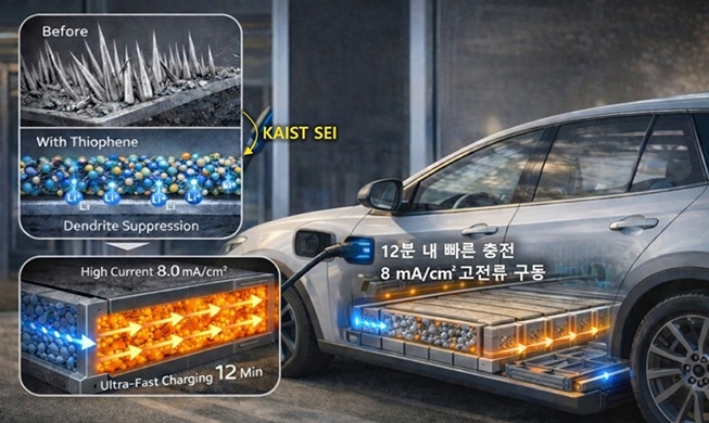 El KAIST desarrolla una 'película inteligente' para aumentar la vida útil de las baterías de litio metálico