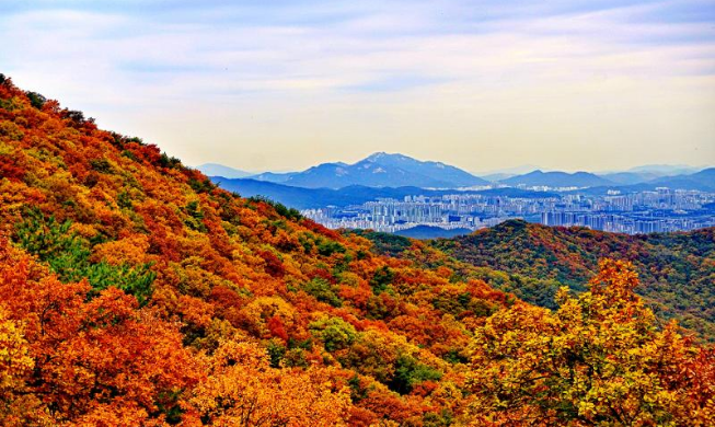 Lugares fascinantes para disfrutar el follaje otoñal en Corea