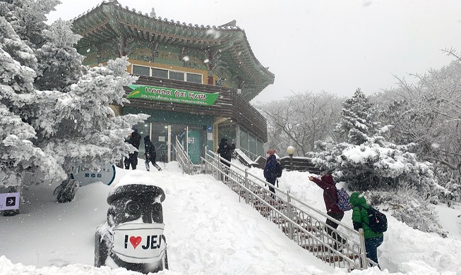 Paraíso invernal en la montaña Hallasan de la isla de Jeju