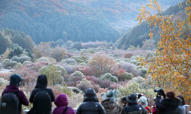 El 'jardín secreto' cubierto de escarcha