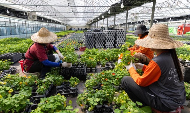 Corea refuerza la protección de los trabajadores migrantes