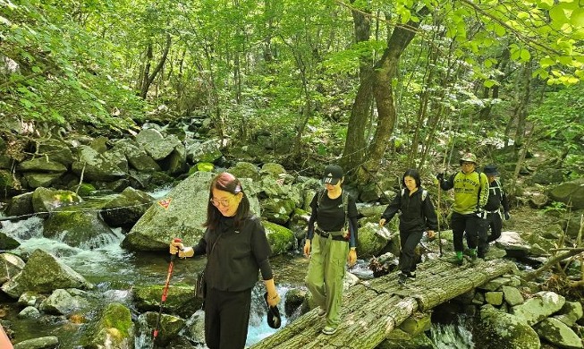 Descubra los cuatro bosques veraniegos recomendados por el Servicio Forestal de Corea