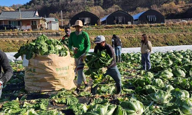 Corea aceptará a 191.000 trabajadores extranjeros no profesionales en 2026