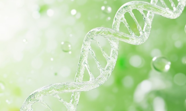 Un estudio coreano clasifica los rasgos moleculares del autismo en dos patrones principales