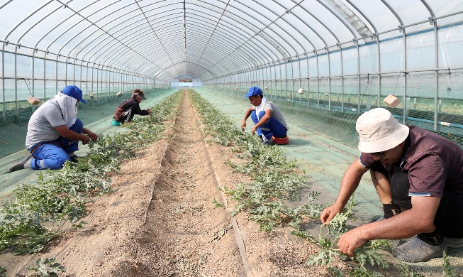 Se permitirá el ingreso el año que viene de 7.000 trabajadores extranjeros más