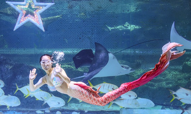 Una sirena saludando en el acuario