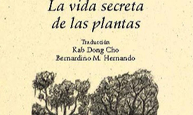 4 libros de autores coreanos perfectos para disfrutar durante el otoño