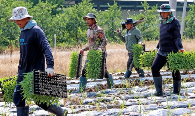 [Reseña del 2025] ③ El Gobierno reorienta su política migratoria hacia el asentamiento de los extranjeros en Corea