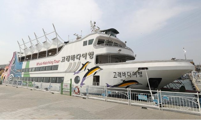 Comenzará en Ulsan la operación del único crucero de avistamiento de ballenas del país