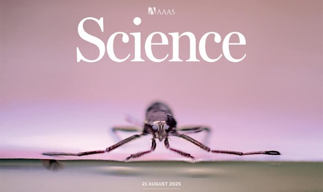 Unos investigadores coreanos crean el primer microrrobot acuático inspirado en un insecto