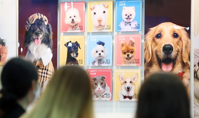 [Foto del día] Arranca la 'Feria de Mascotas de Daegu'