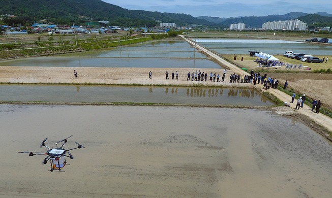 [Foto del día] Sembrando arroz usando drones agrícolas de gran tamaño