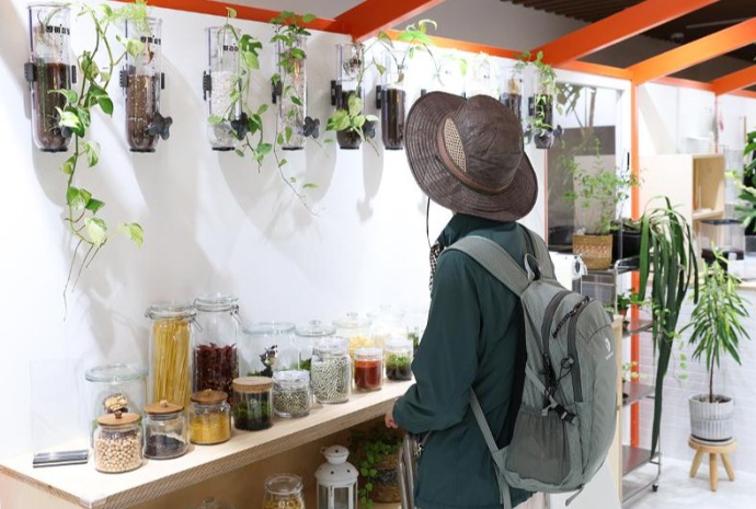 Plantas que llenan de vida los rincones del hogar