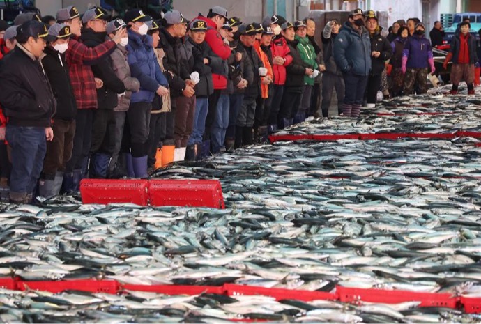 La 1ª subasta del año en una lonja de pescado de Busan
