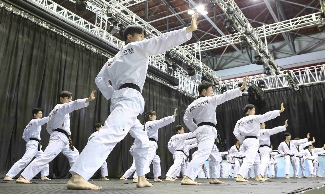 Disfrute de la demostración de taekwondo en la antigua casa presidencial Cheong Wa Dae