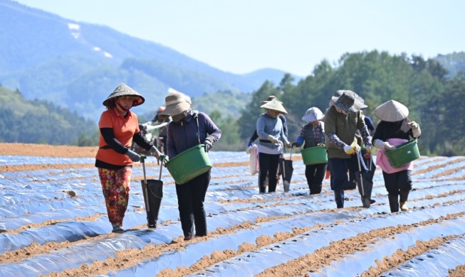 Un nuevo sistema prohíbe la deportación de trabajadores extranjeros con salarios impagos