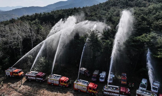 Simulacro de extinción de incendios forestales