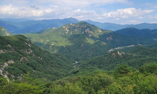 Cinco áreas forestales son reconocidas como espacios para la conservación de la biodiversidad