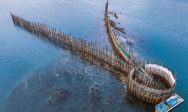 La FAO reconoce 4 sistemas agrícolas y pesqueros tradicionales de Corea como Patrimonio Agrícola Mundial