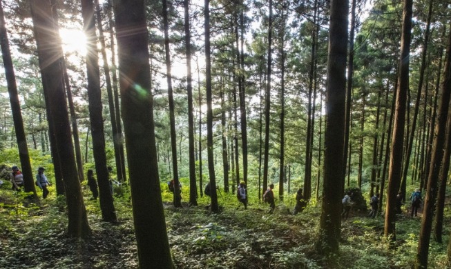 El 31 de octubre se inaugura exuberante sendero que bordea el mar del sur