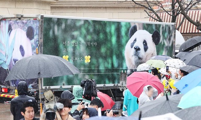 Despedida de la panda Fu Bao