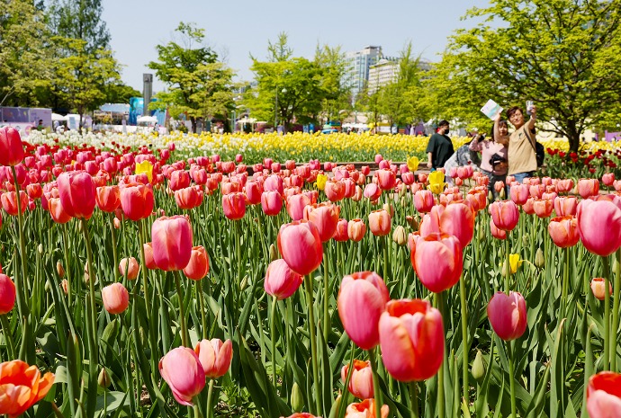 Exposición Internacional de Flores de Goyang
