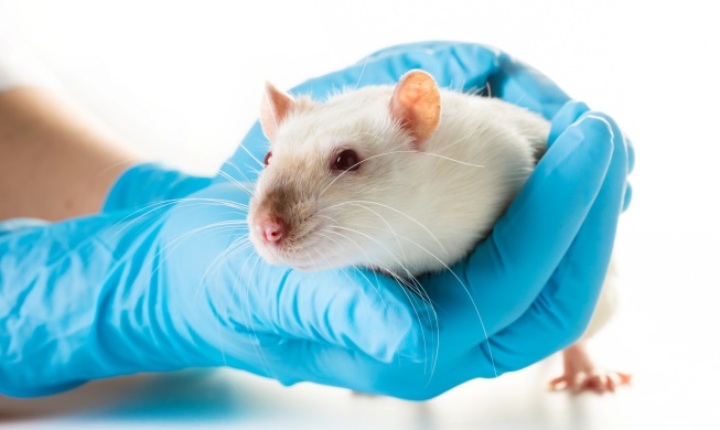 Corea desarrollará métodos alternativos para eliminar las pruebas en animales
