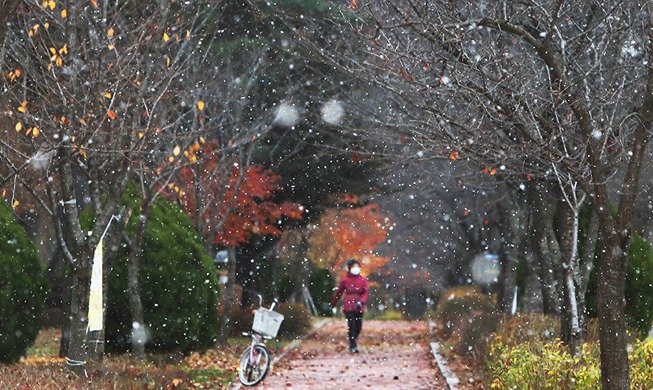 [Foto del día] Nevada de Soseol