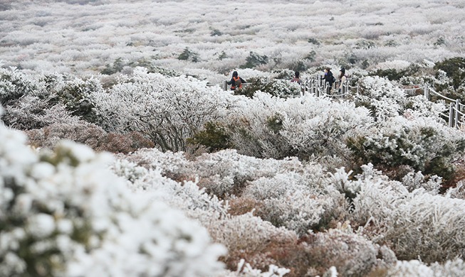 [Foto del día] Primera nieve en el monte Hallasan