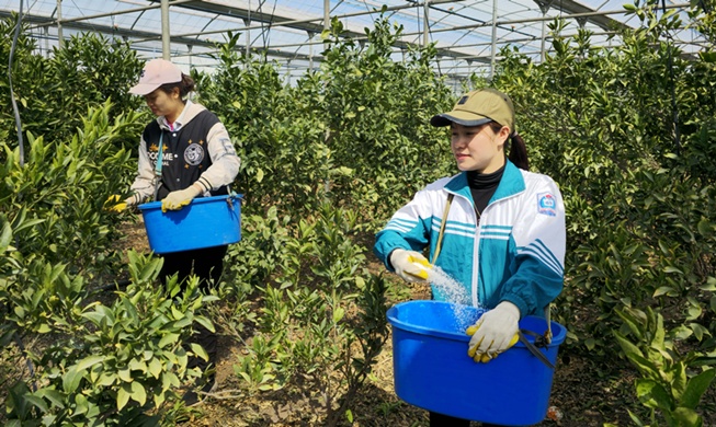 El Gobierno ampliará en 20.000 en número de trabajadores extranjeros temporales