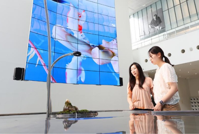 Arte multimedia en el  Museo Nacional de Arte Moderno y Contemporáneo