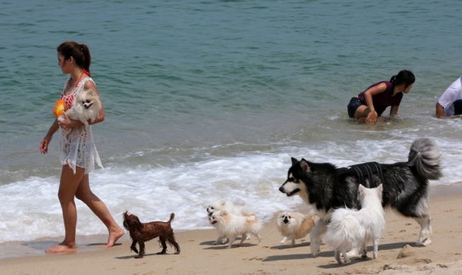 [Corea junto con los animales] ③ Políticas municipales amigables con las mascotas