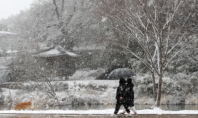 [Foto del día] Dando un paseo bajo la nieve