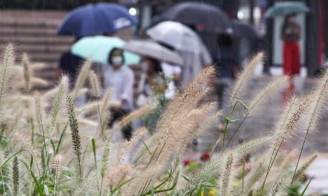 [Foto del día] Las lluvias anuncian la llegada del otoño