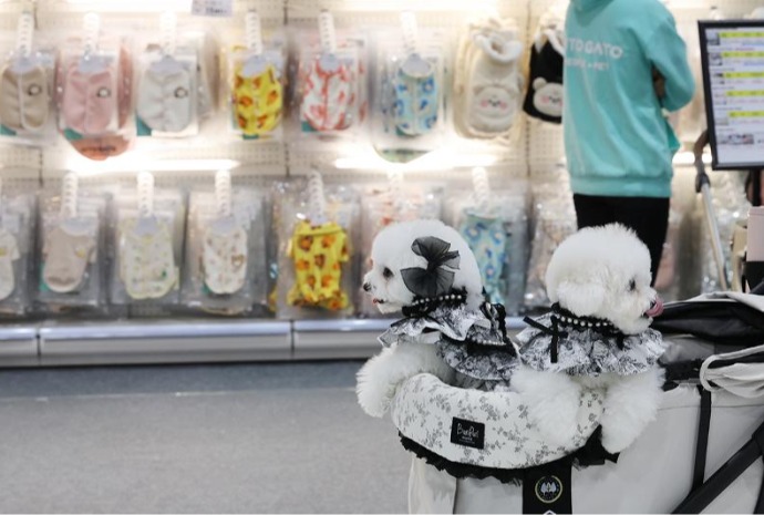  Feria navideña para mascotas