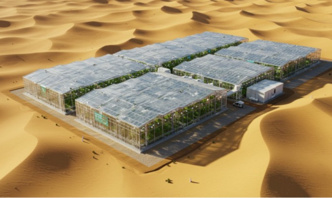La tecnología de granjas inteligentes coreanas lidera la innovación agrícola en Arabia Saudita
