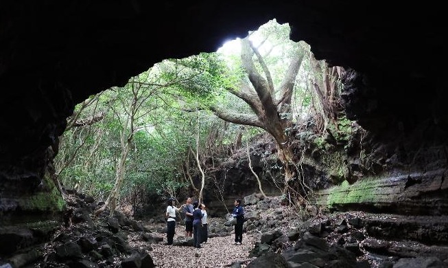 [Festival del Patrimonio Mundial ①] Las maravillas volcánicas y subterráneas de Jeju
